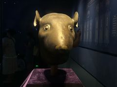 -广西壮族自治区博物馆