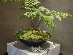 -雅和睿景艺术餐厅(高科园店)