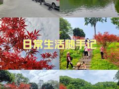 -广州市帽峰山景区