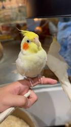 -Zoolung Zoolung动物主题公园(海信广场店)