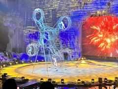 -广州长隆国际大马戏