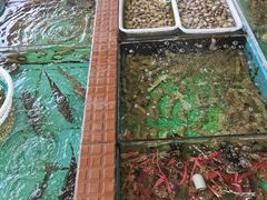 -景好海鲜餐厅(大鹏必选旅游店)