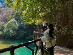 -龙湾潭国家森林公园