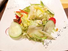 旭有机蔬菜沙拉-割烹旭日本料理(龙湖狮山天街店)