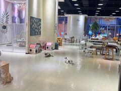 -藏猫猫咖啡主题馆(中央大道店)