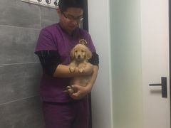 -美联众合宠物医院·爱萌分院·内外科·猫科中心