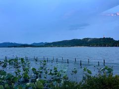 -湖畔居茶楼(湖滨店)