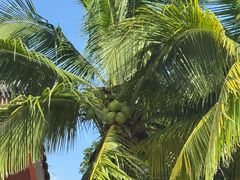 -海南文笔峰盘古文化旅游区