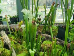 -国家植物园南园