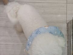-海门爱心宠物医院