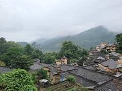 -杨家堂村