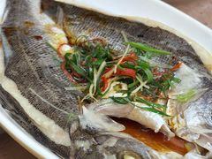 -日日香卤鹅饭店·澄海狮头鹅(澄海店)