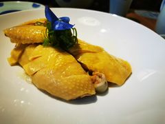 老灶白切竹林鸡（半只）-老灶味道·本帮菜(昌平路店)