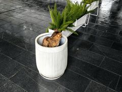 -陆家嘴世纪金融广场