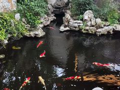 -鲤院·新中式美学·庭院餐厅(夫子庙店)