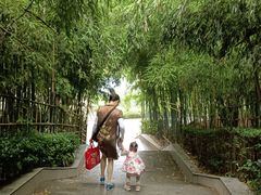 -西安市长乐公园