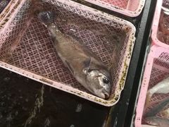 -南沙十九涌渔人码头-南门