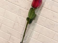 -原野花艺鲜花店(车站大道店)