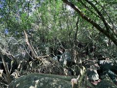 -七仙岭温泉国家森林公园