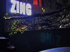 -ZING鲸鱼啤酒(葡萄院店)