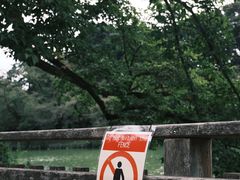 -井之头恩赐公园