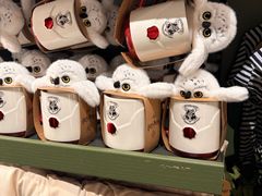 -九又四分之三站台哈利波特商店