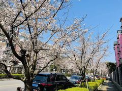 -永乐路-路侧停车场