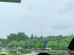 -青藤茶馆(凤起路店)