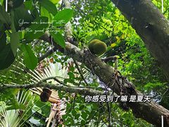 -中国科学院西双版纳热带植物园