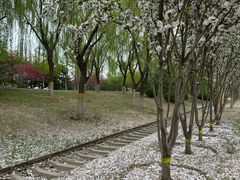 -永定河休闲森林公园