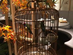 -梅间堂茶馆(绿地缤纷城店)