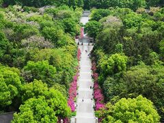 -宜兴龙背山森林公园