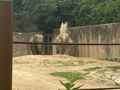 -杭州野生动物世界