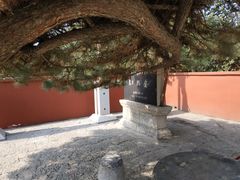 -戏马台景区