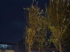 -纽扣NEWKO