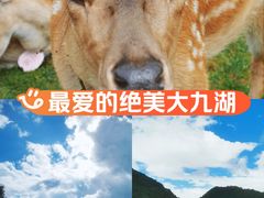 -大九湖