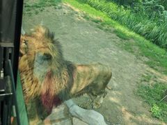 -北京野生动物园