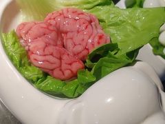 猪脑-锅说大脸毛肚重庆老火锅(佐阾店)