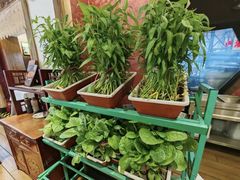 -天和晟新京菜.水煮鱼.湘土菜(国展店)