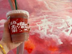 -南澳岛打卡果汁冰公司