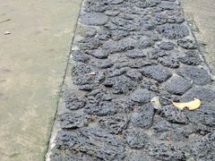 -海口火山口国家地质公园
