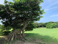 -鹅銮鼻公园