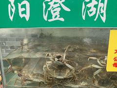 -喜洋洋蟹庄(阳澄湖店)
