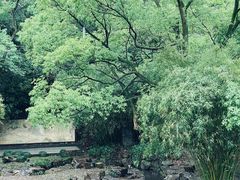 -兰亭风景区