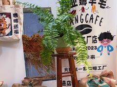 -唐咖精品咖啡(大理古城手冲店)