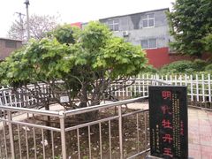 -曹州百花园