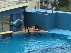 -香港海洋公园