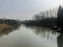 -溱湖国家湿地公园