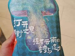 -芸山季·云南野生菌火锅(南翔印象城MEGA店)