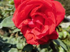 -人民公园(罗湖区)